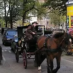 Bed & Breakfast La Festa